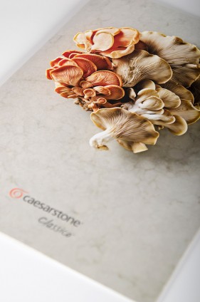 Caesarstone product brochure design