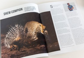 Corporate magazine design and digital publishing George, Garden Route