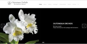 website design garden route