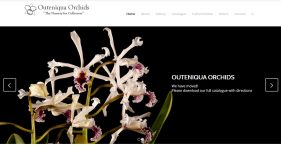 website design garden route