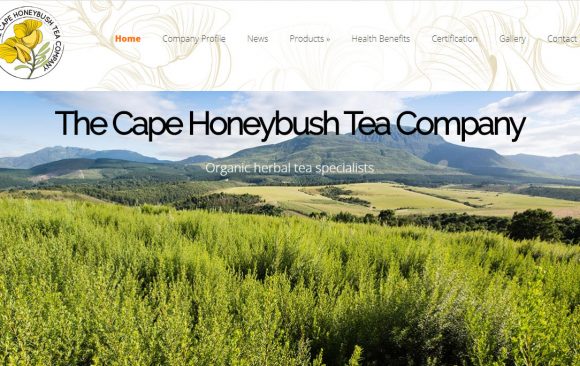 Website Design George Garden Route