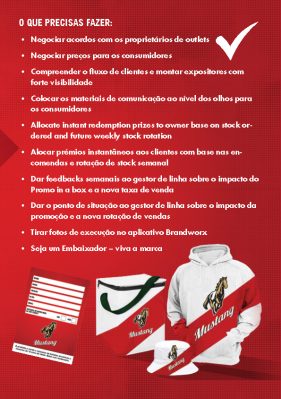 Graphic designer for brochures