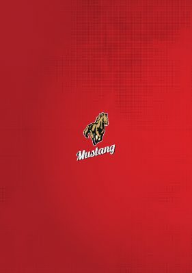 Graphic designer for brochures